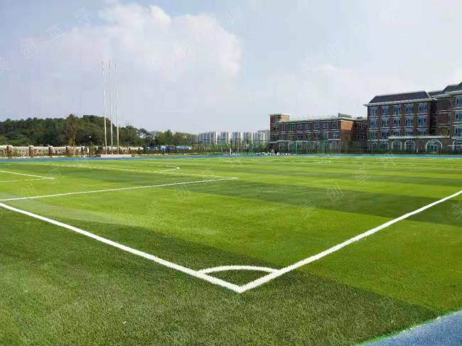 市面上的仿真草坪?容易出現(xiàn)的幾大問(wèn)題 市面上的仿真草坪?容易出現(xiàn)的幾大問(wèn)題