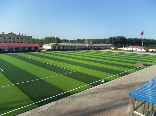 足球場(chǎng)人造草坪日常清理維護(hù)小建議 足球場(chǎng)人造草坪日常清理維護(hù)小建議